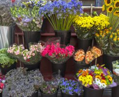 スペインの花屋さん