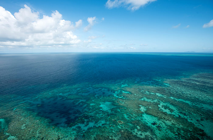 世界最大のサンゴ礁「グレートバリアリーフ」の玄関口