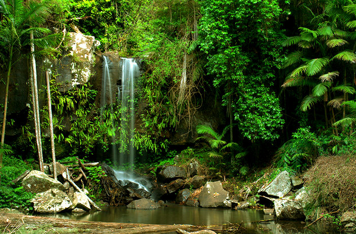 おすすめは土ボタルや熱帯雨林ツアー