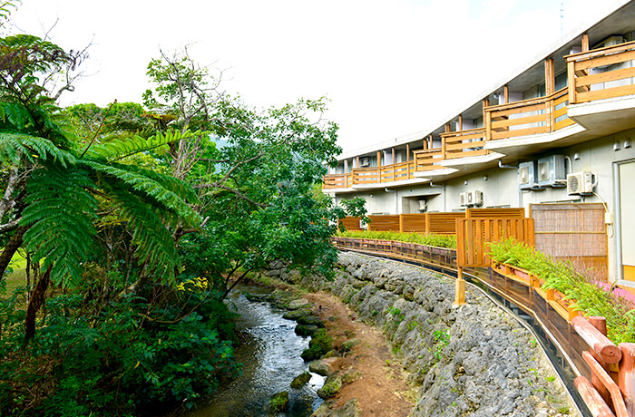 西表島ジャングルホテル　パイヌヤマ(C)OCVB